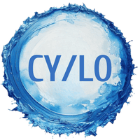 Container yard/liner out